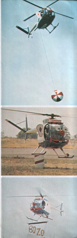 US Army Silver Eagles